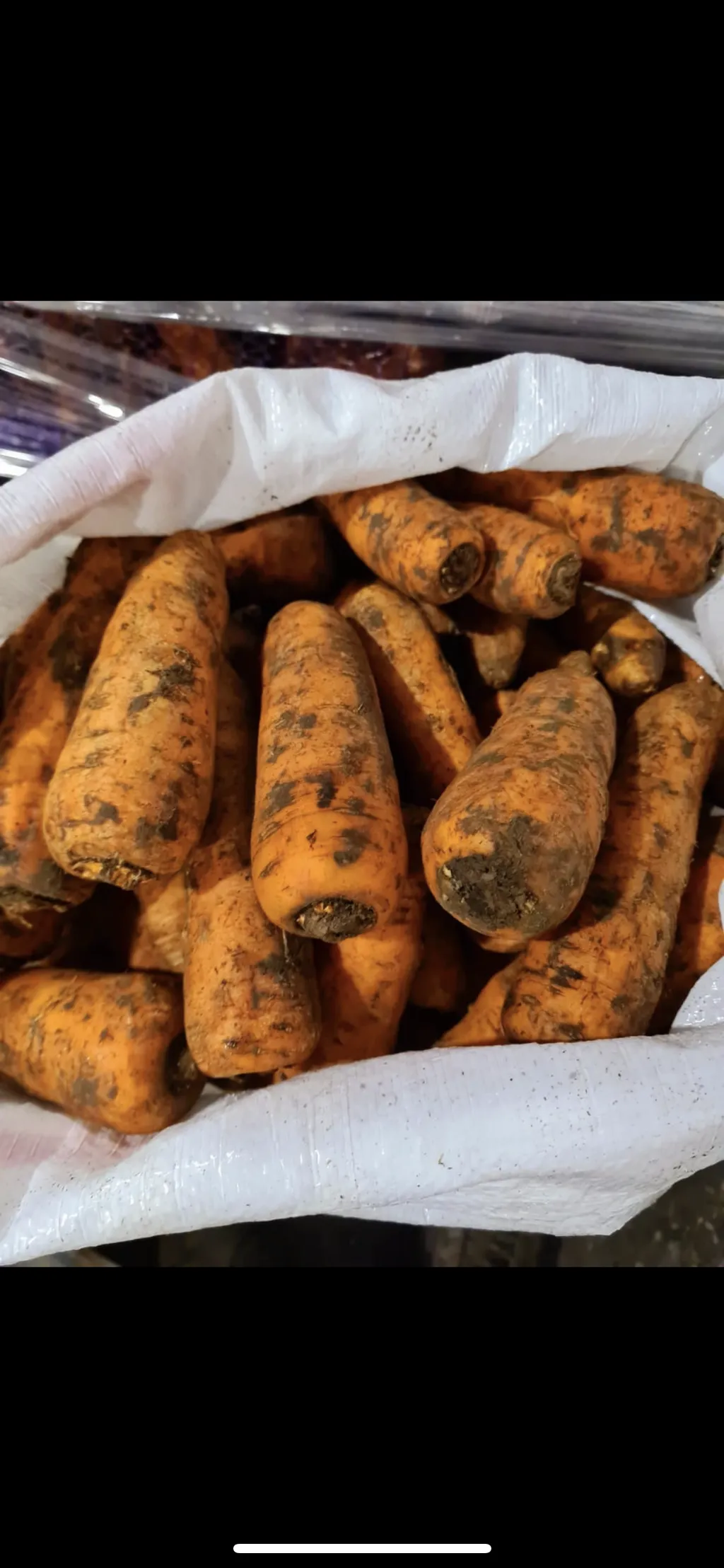 морковь свежая в Самаре