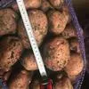 картофель оптом 5+ от производителя в Самаре 2