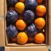 свежие апельсины в Самаре