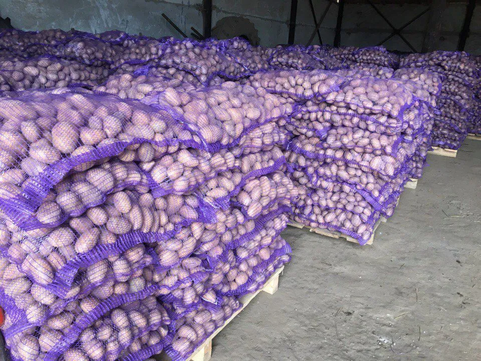 картофель оптом от производителя от7р/кг в Самаре