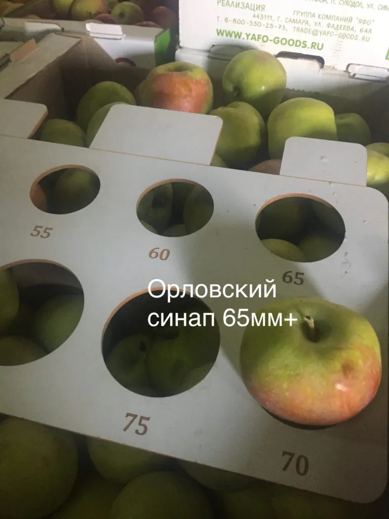 яблоки оптом Самарская область в Сызрани 2