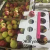 яблоки оптом Самарская область в Сызрани 4