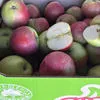 яблоко оптом 17р. кг!! Самарская область в Сызрани