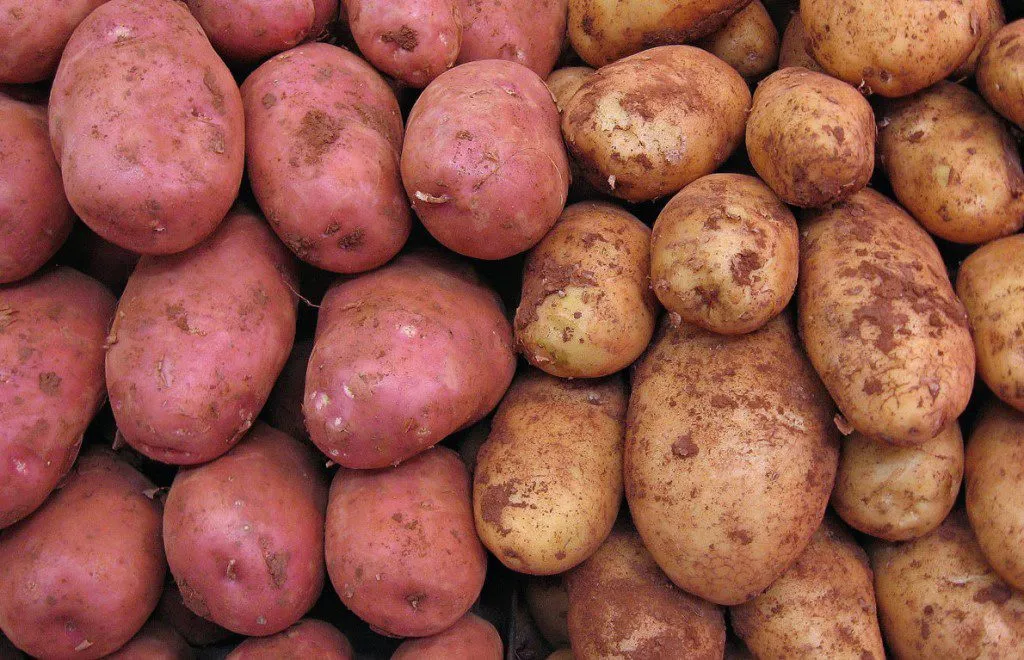 картофель в Самаре 2