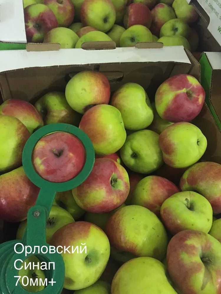 яблоки оптом 2019 Пензенская обл в Самаре