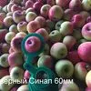яблоко оптом Пензенская область, Спасск в Самаре 2