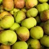 яблоки оптом Пензенская область в Самаре
