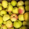 яблоки оптом Пензенская область в Самаре 3